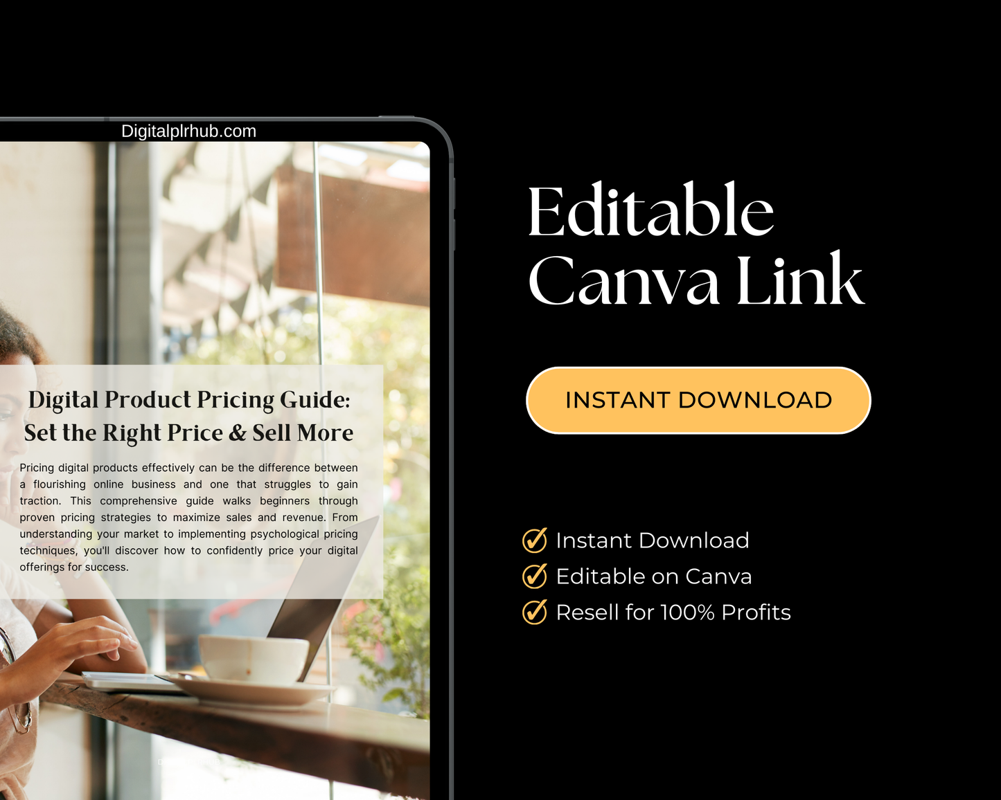 Instant access to the Digital Pricing Guide. Comes with PLR rights, allowing you to rebrand, resell, and make 100% profit on every sale.