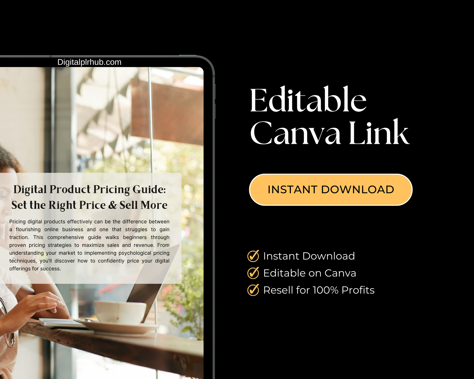 Instant access to the Digital Pricing Guide. Comes with PLR rights, allowing you to rebrand, resell, and make 100% profit on every sale.
