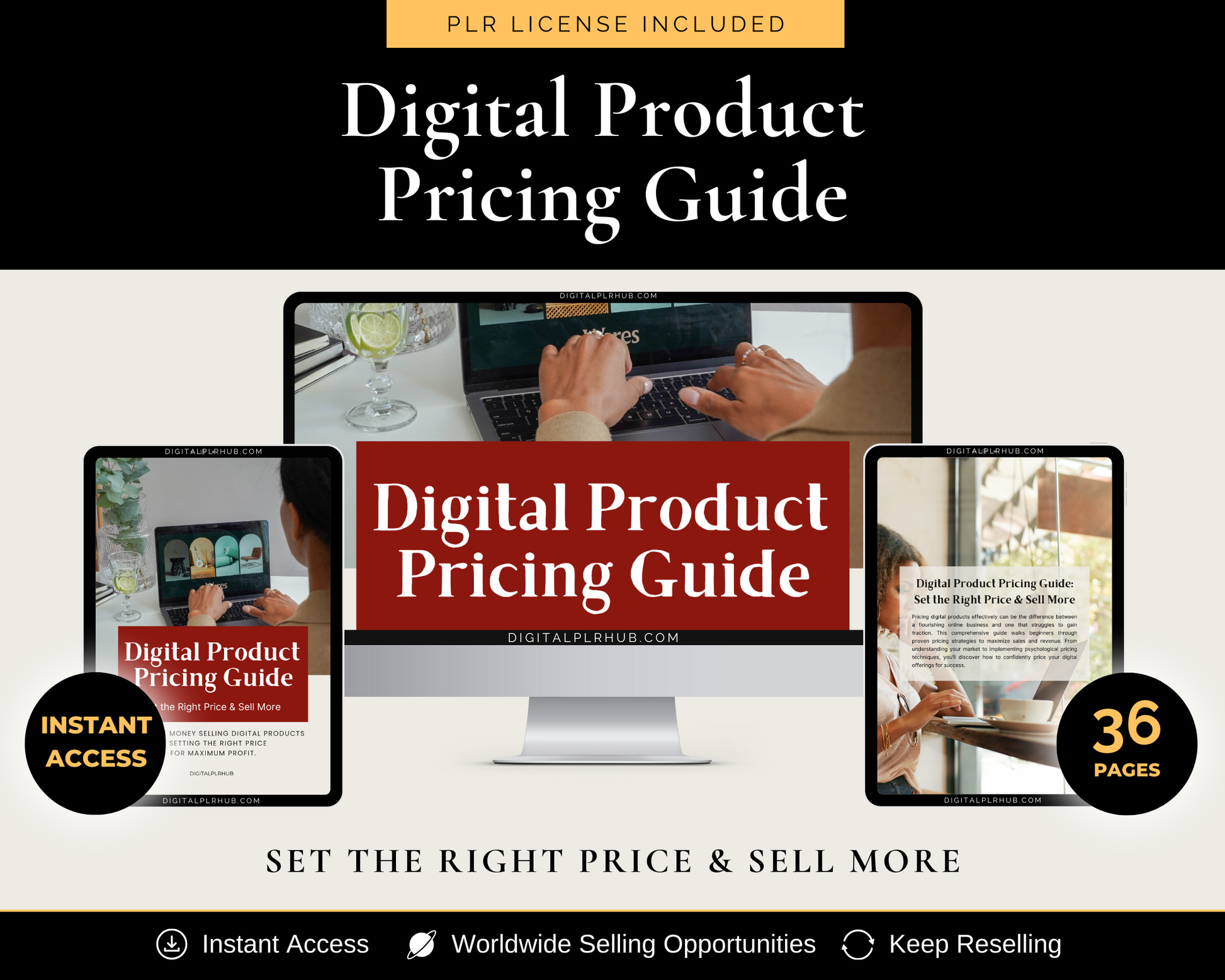 Learn how to set the right price for your digital products with this PLR eBook. Includes step-by-step pricing strategies to maximize sales and profits.