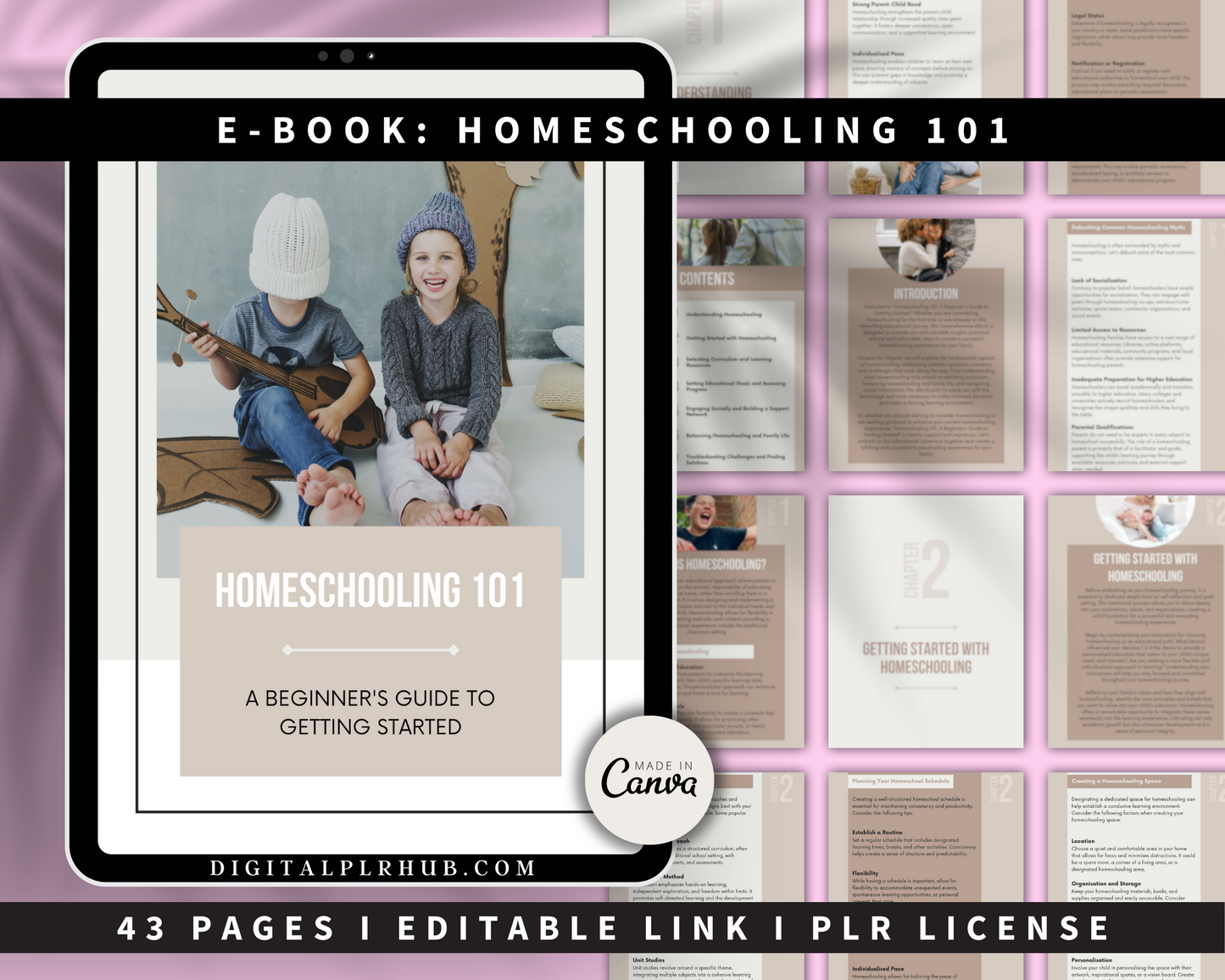 PLR Kids Niche Bundle