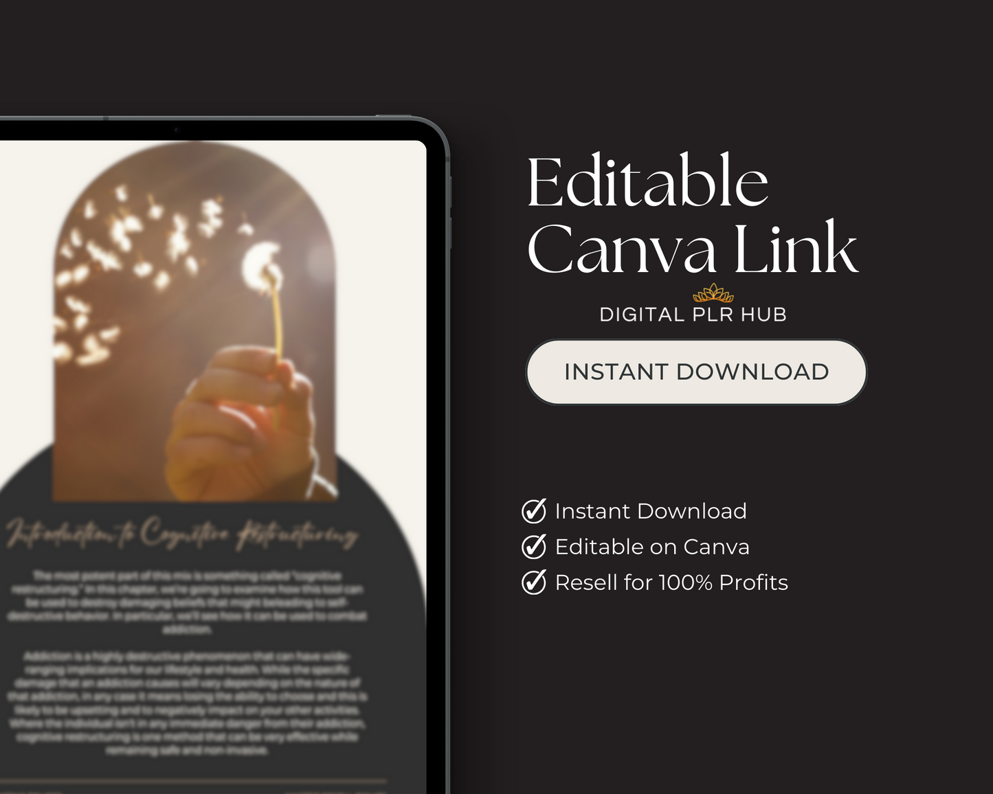 Limiting Beliefs eBook & Workbook MRR