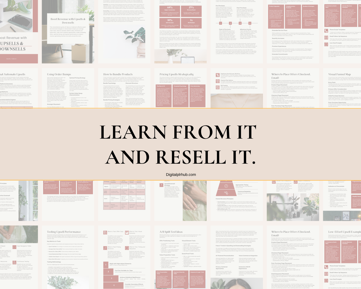 Slide with text “Learn from it and resell it” over eBook pages preview, ideal for passive income creators
