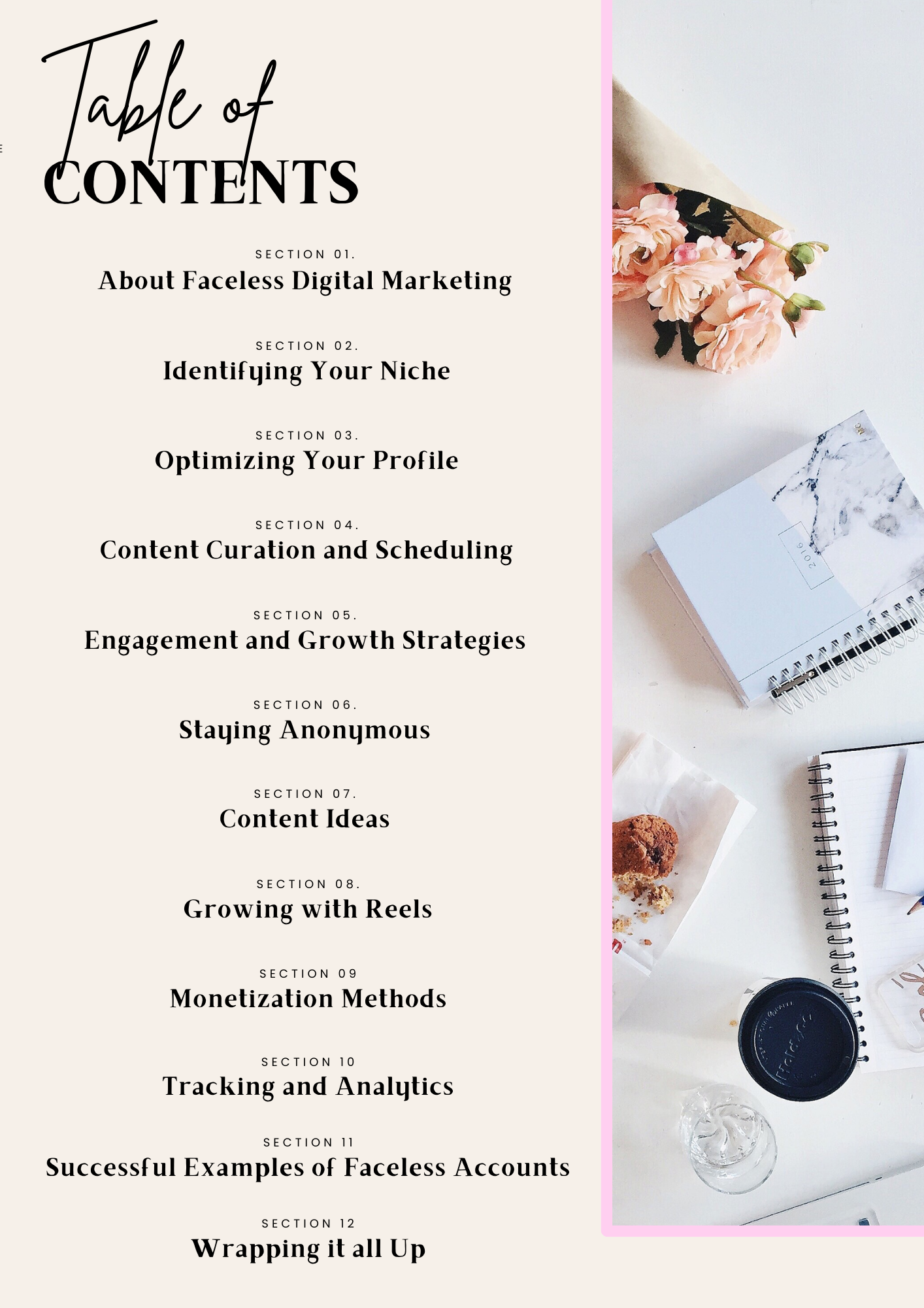 PLR Faceless Marketing Guide