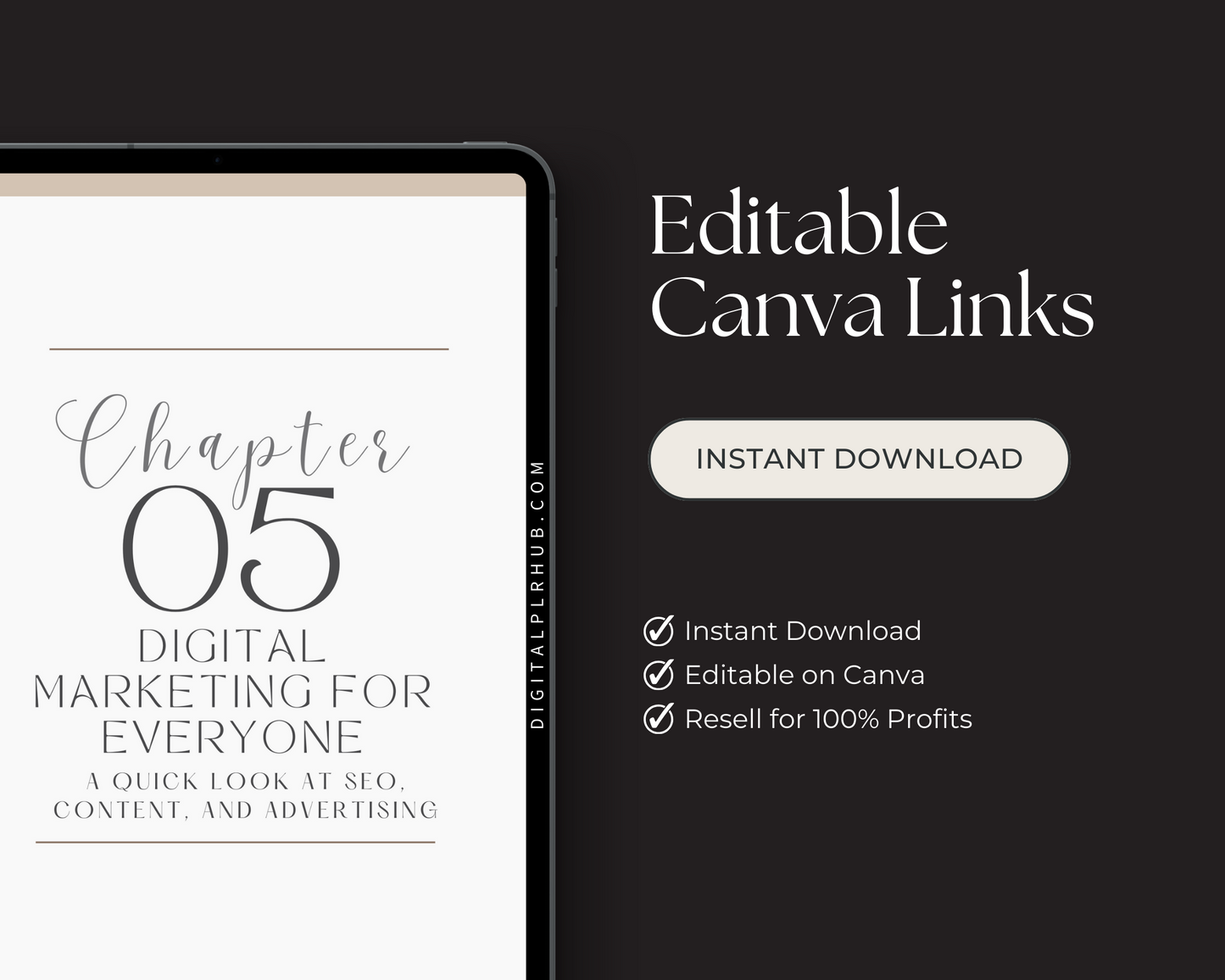 Editable ebook teaching financial freedom through Master Resell Rights. Instant resale license included