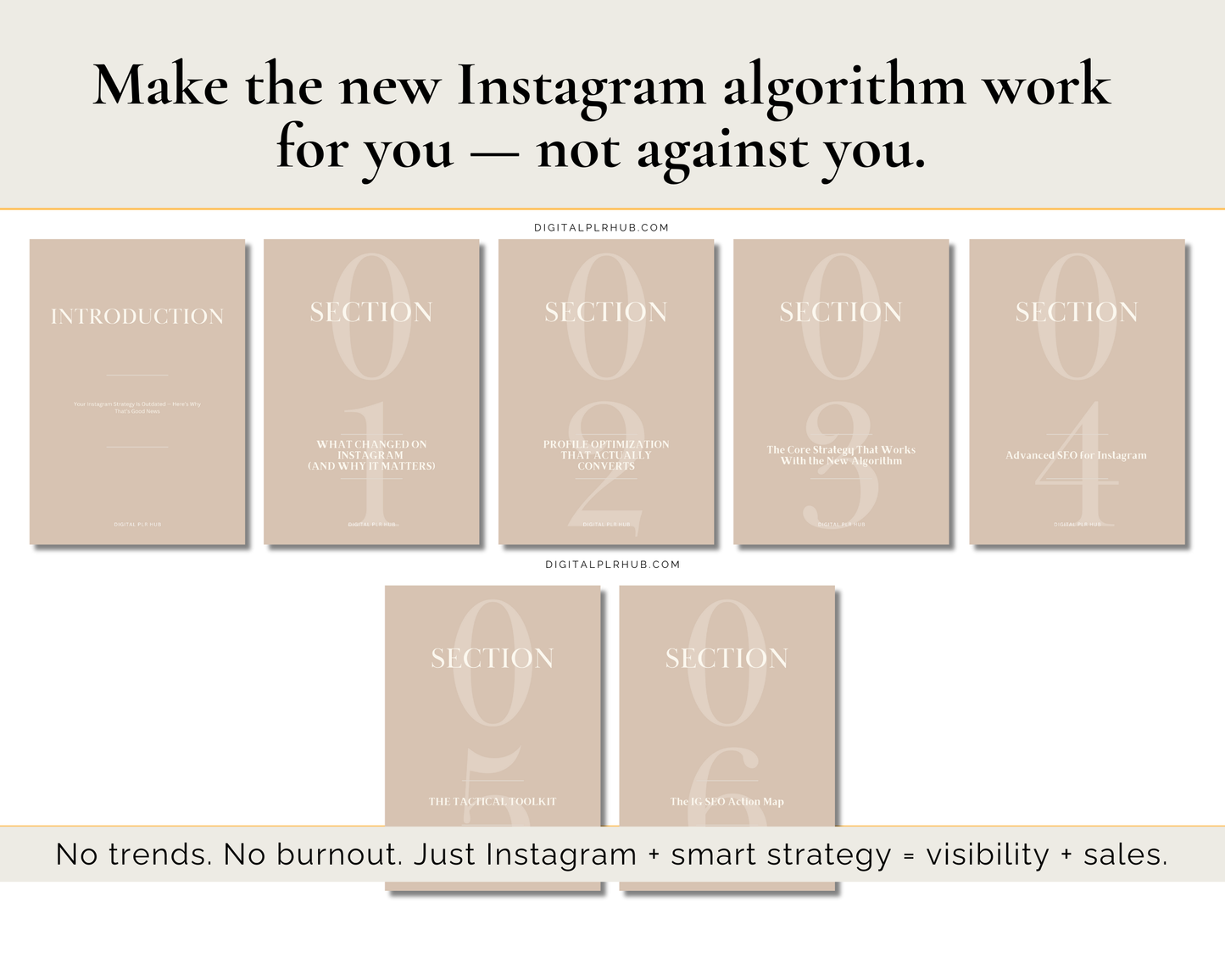 Table of contents from the Instagram 2025 strategy playbook. Covers Reels, SEO content planning, profile optimization, and algorithm insights for creators.
