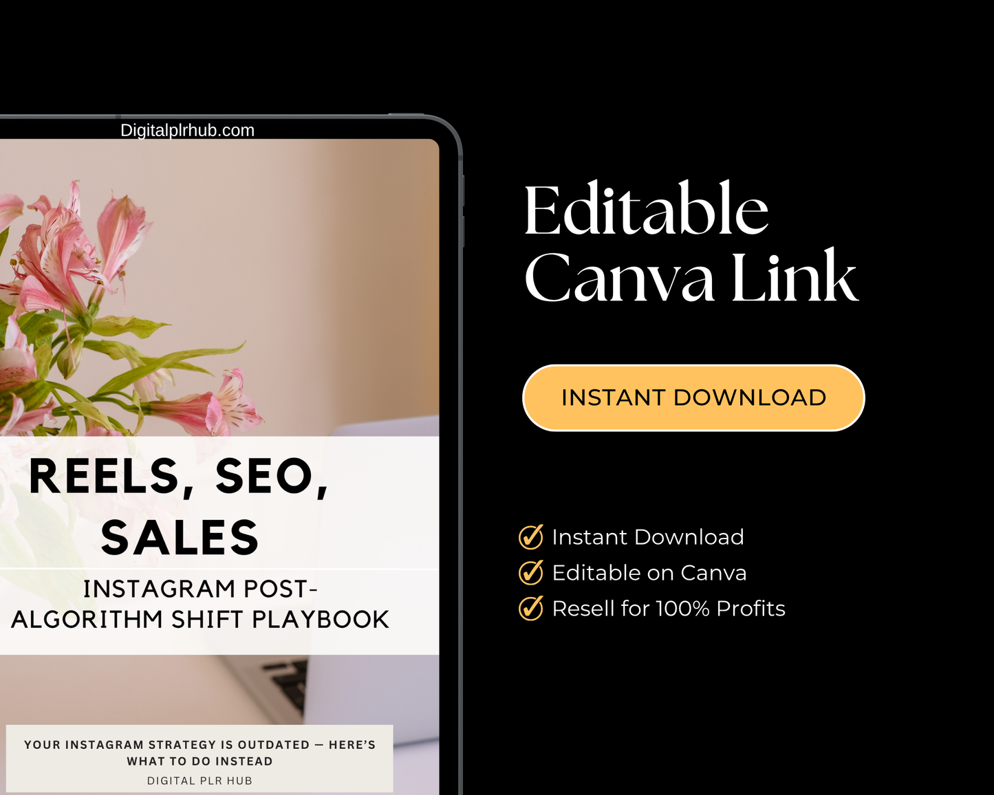 Instant download Instagram strategy guide for 2025. Includes Reels SEO tips, content repurposing system, and resale rights. Ready to sell and edit.