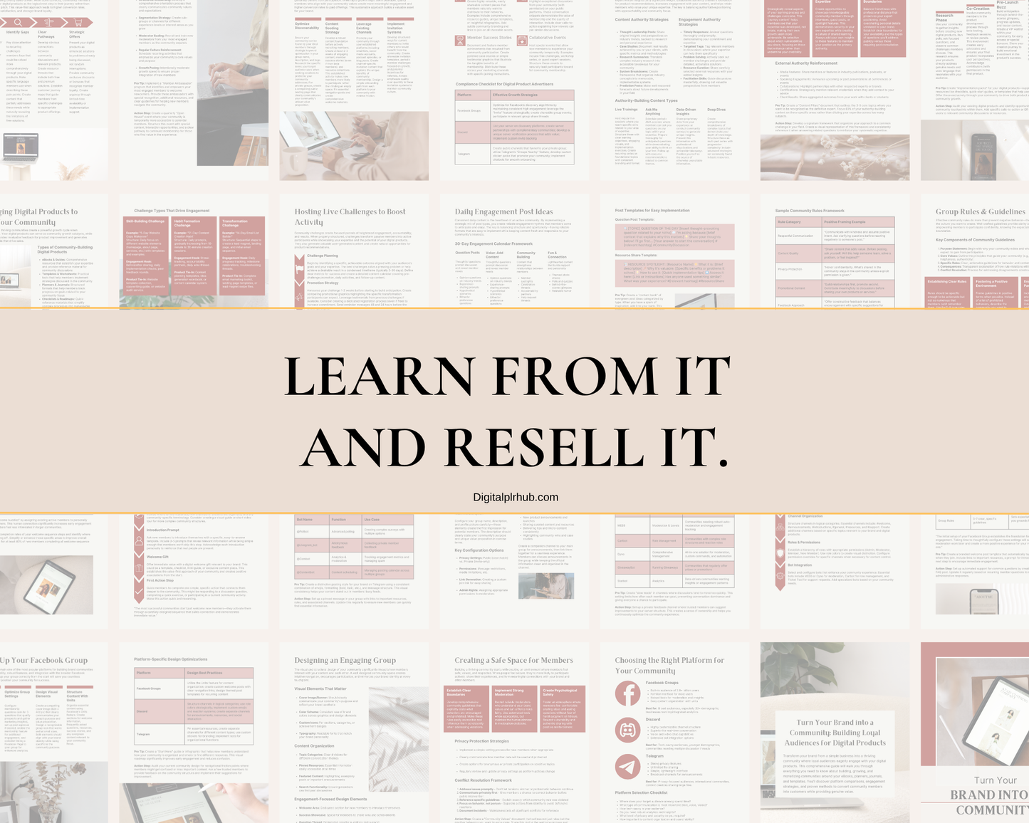 Learn from it and resell it — promotional graphic for the Turn Your Brand Into a Community eBook with private label rights