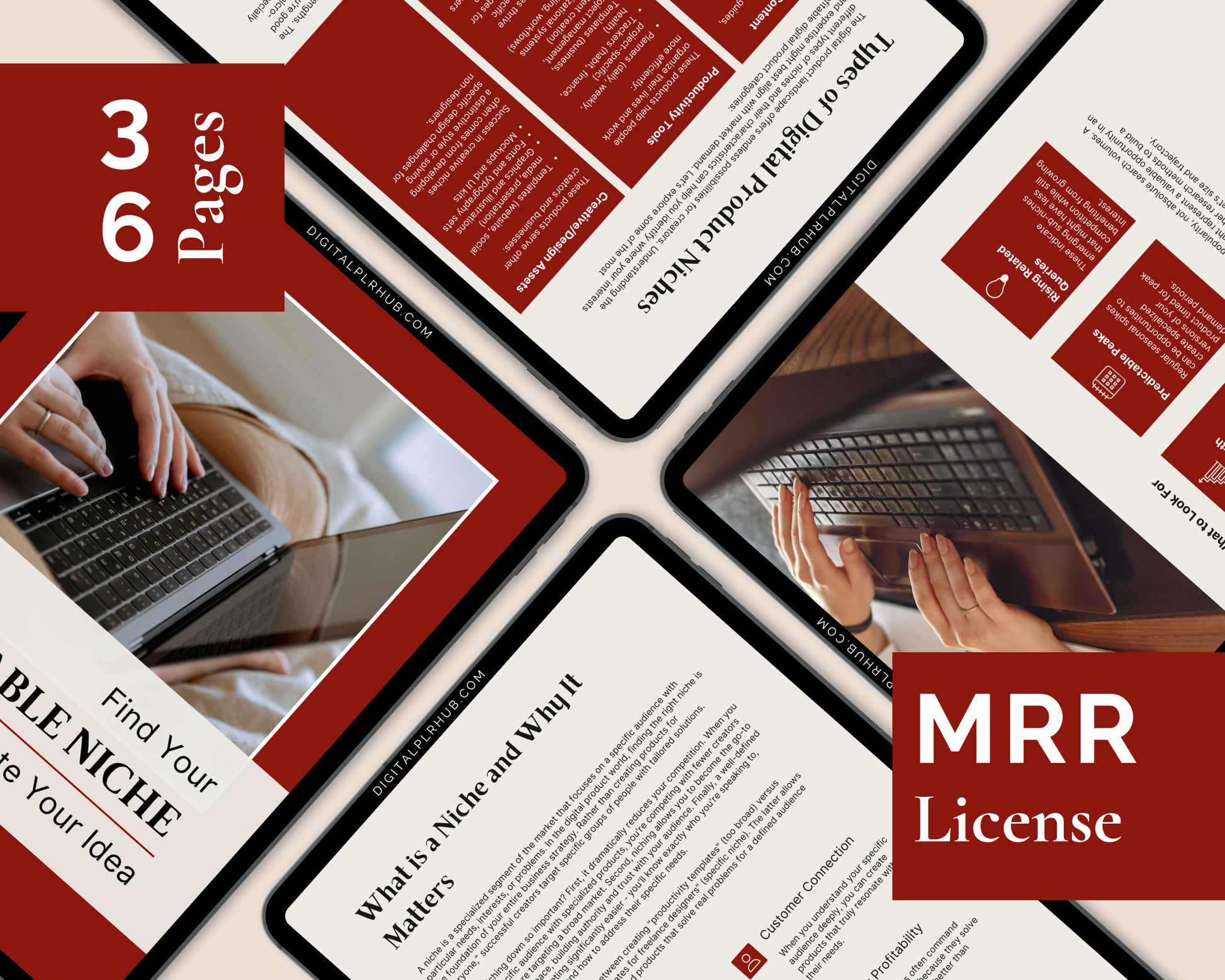 Inside preview of PLR eBook pages showing niche validation strategies, digital product examples, and customer connection methods