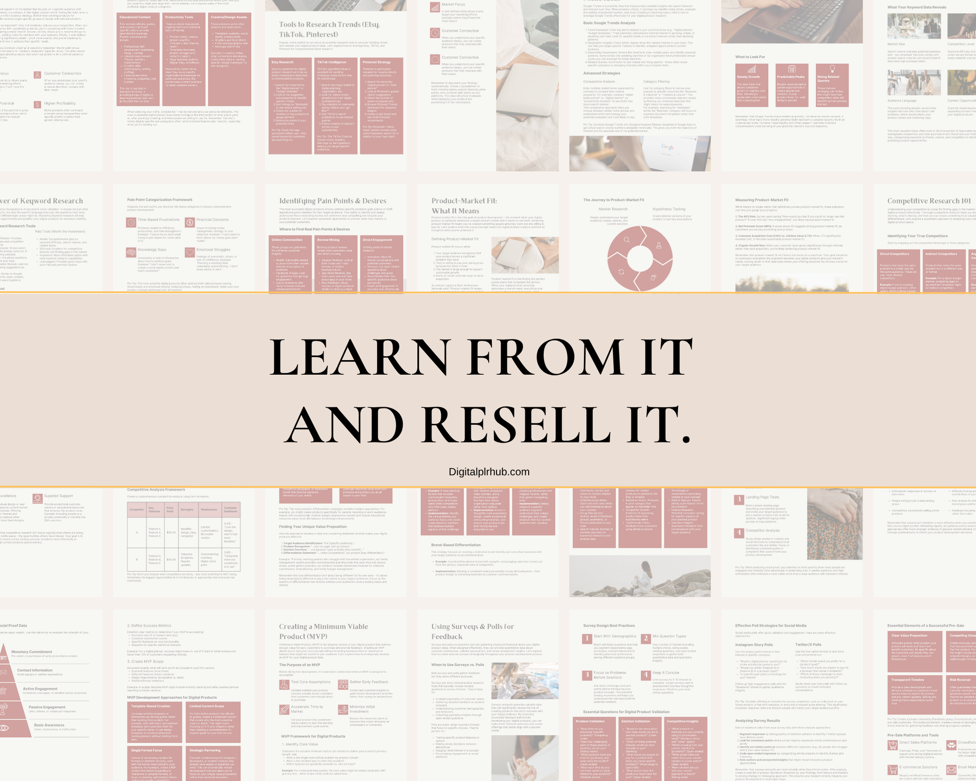 Sales preview of PLR eBook that helps you find your niche and validate ideas for profitable digital product creation