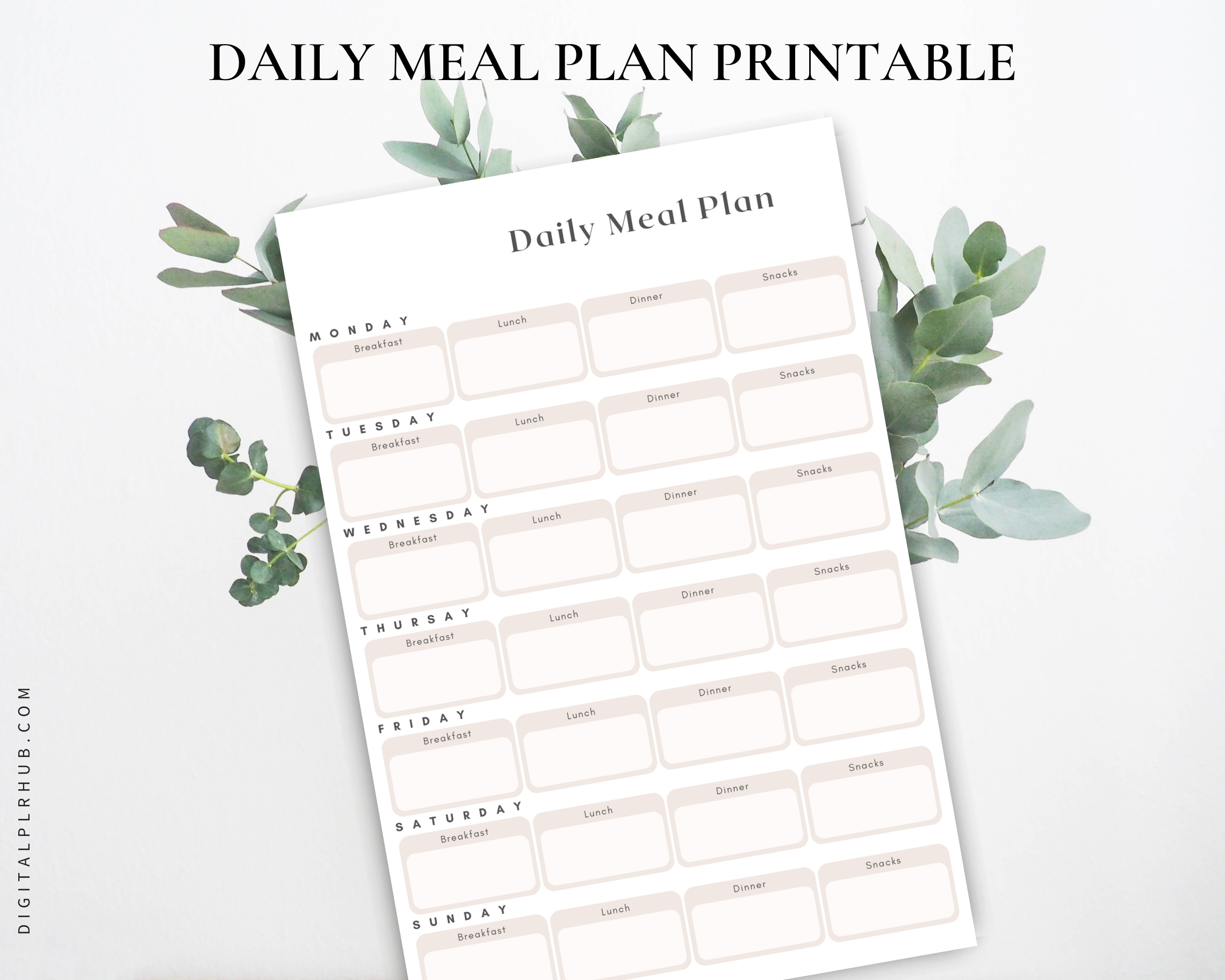 Daily Meal Plan Printable – Digital PLR Hub