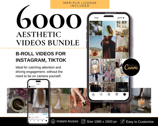 6000+ Aesthetic Videos Bundle