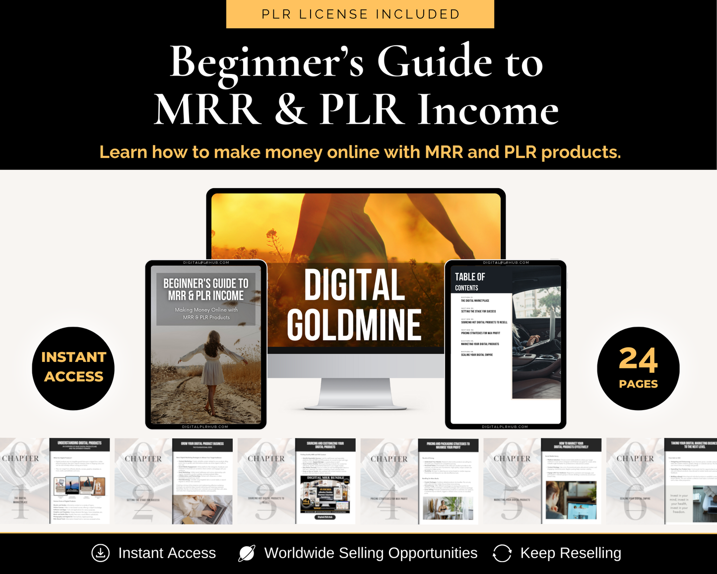 Beginner's Guide to MRR and PLR Income