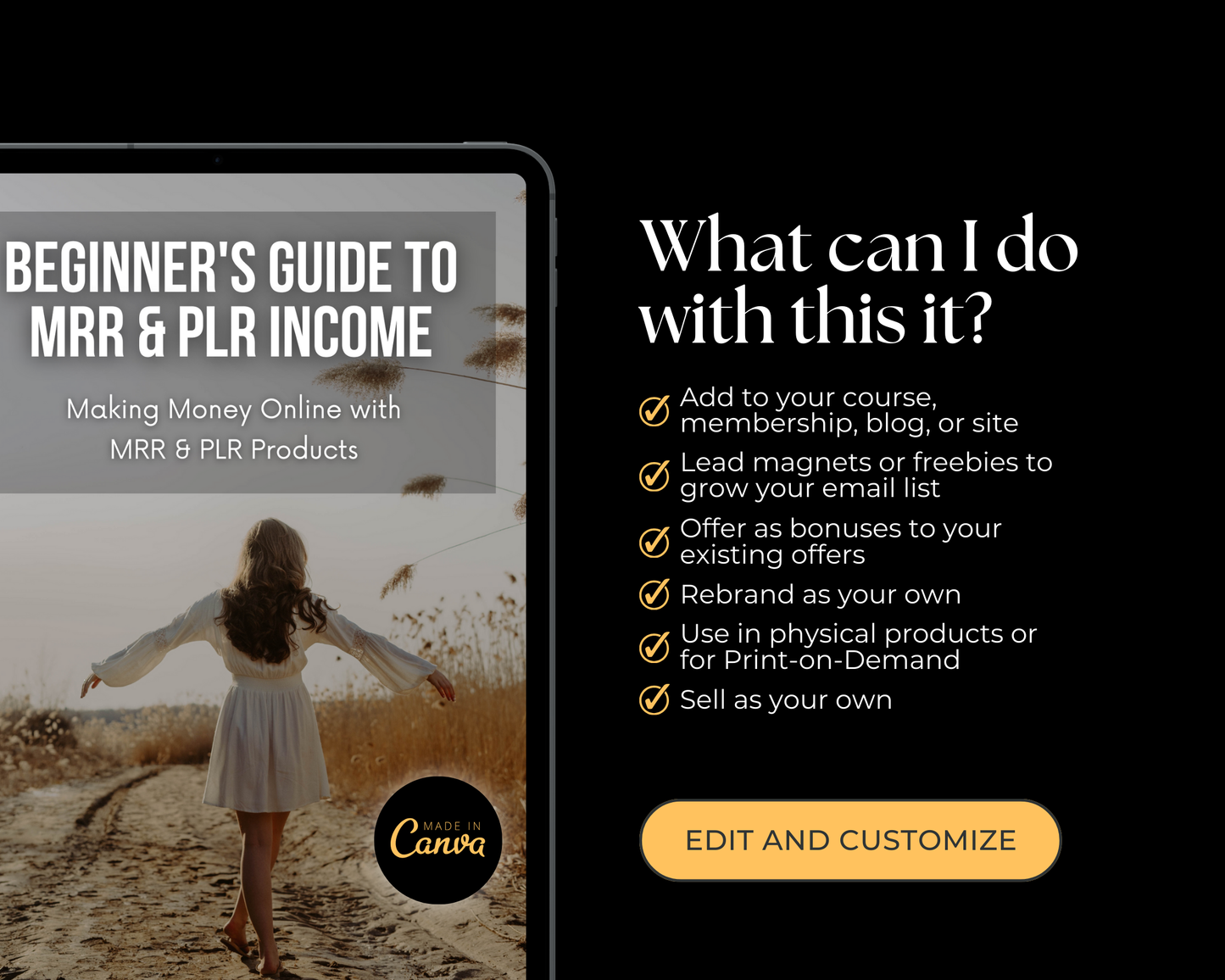 Beginner's Guide to MRR and PLR Income