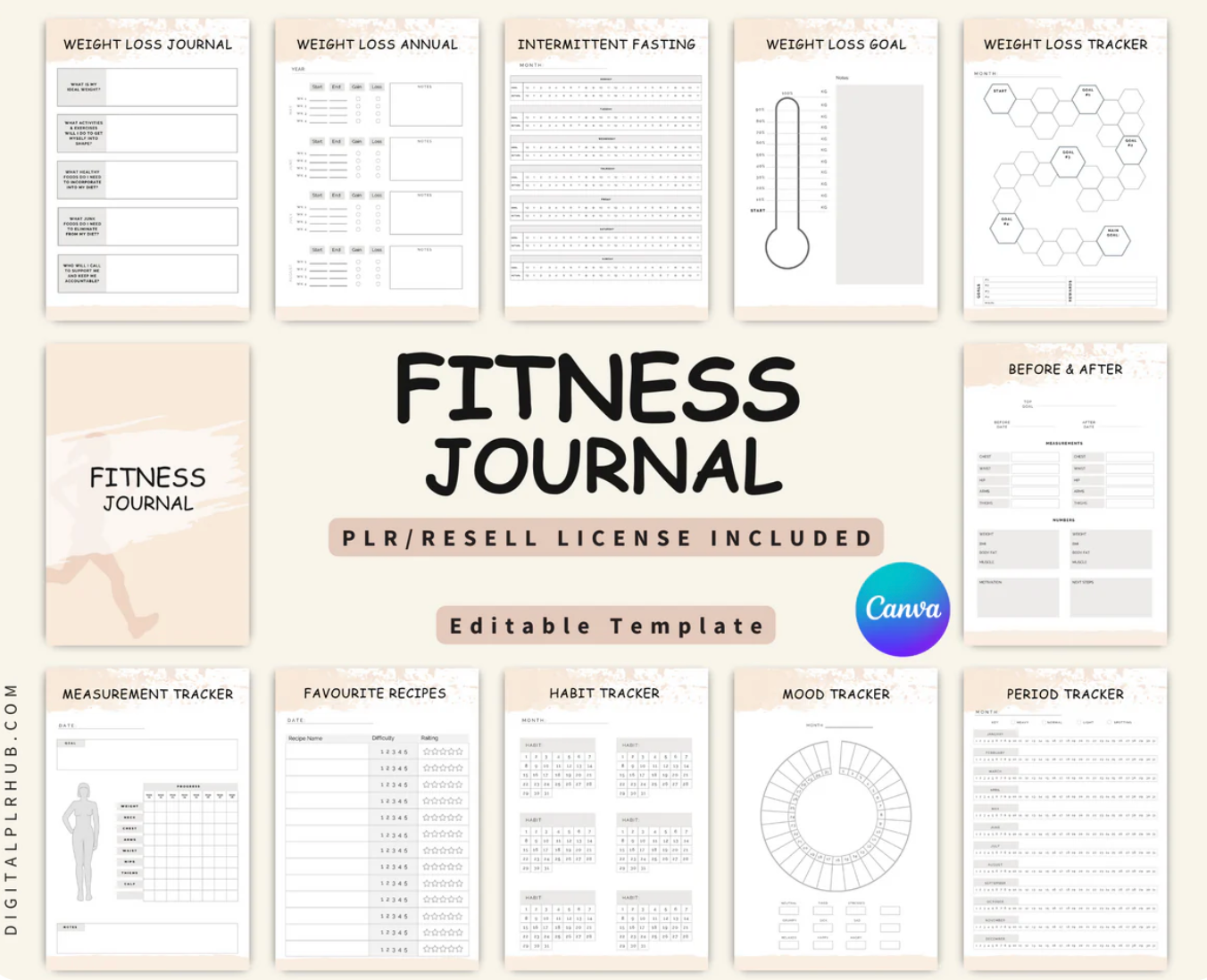 LAST CHANCE PLR BUNDLE