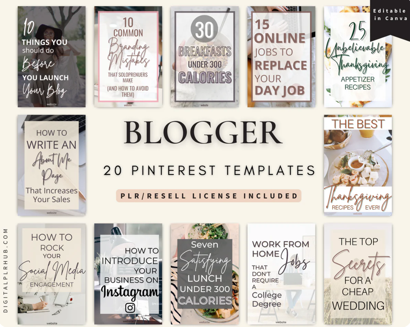 LAST CHANCE PLR BUNDLE