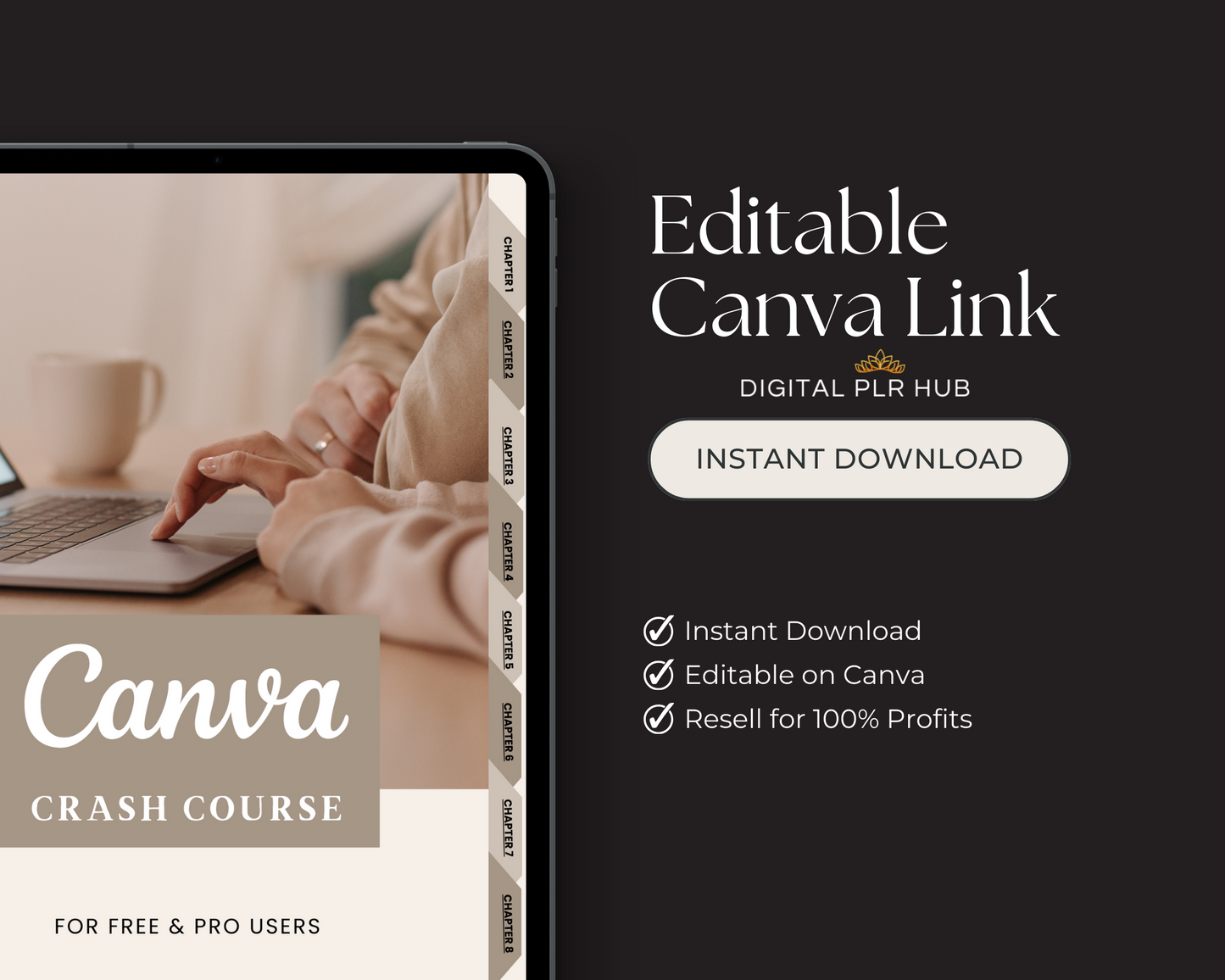 Canva Basics Guide MRR