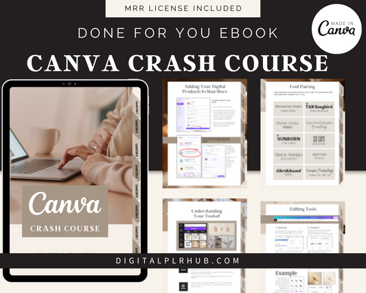 Canva Basics Guide MRR