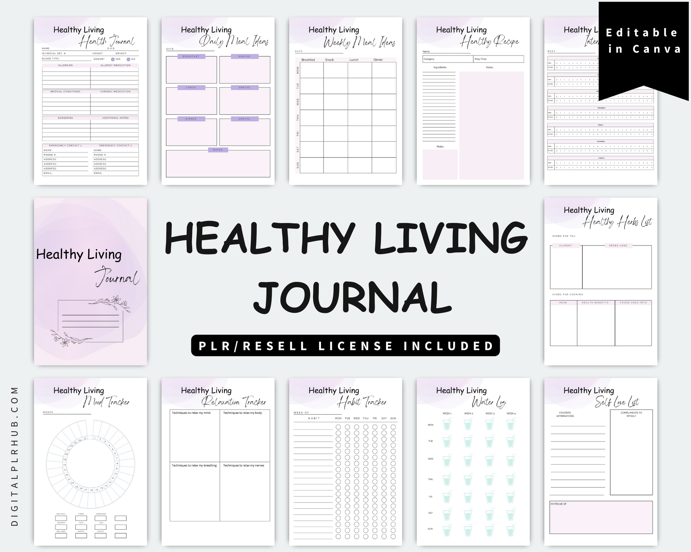 Healthy Living Journal – Digital PLR Hub