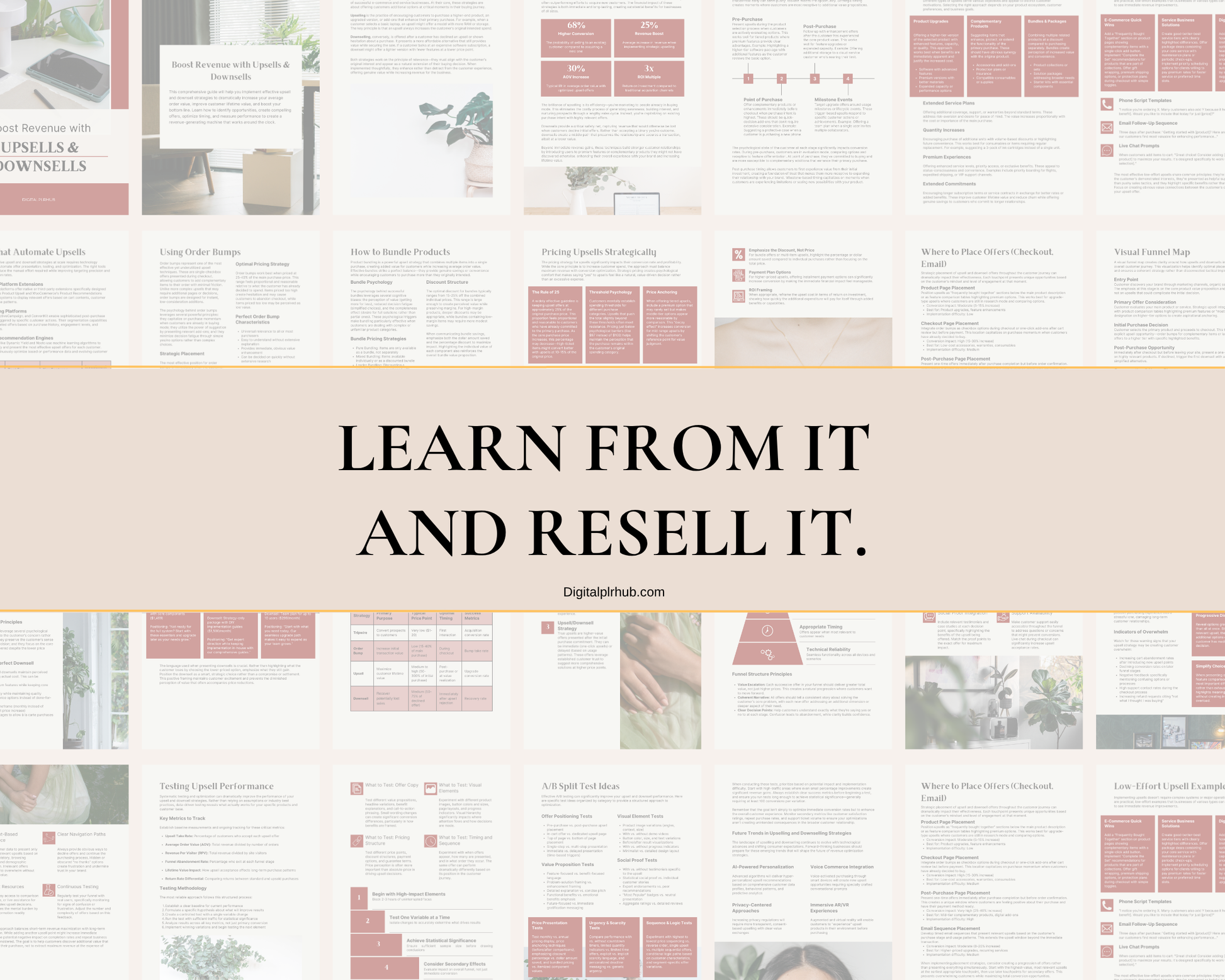 Slide with text “Learn from it and resell it” over eBook pages preview, ideal for passive income creators