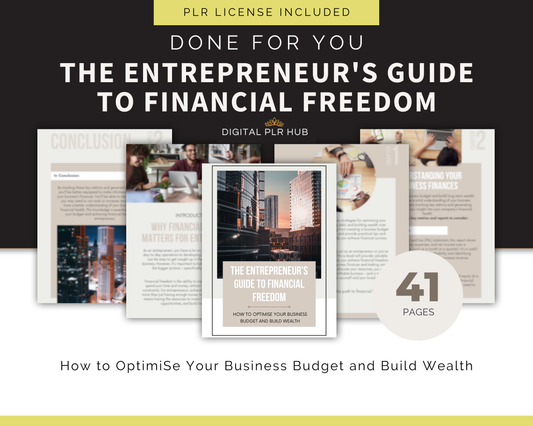 PLR The Entrepreneur's Guide to Financial Freedom