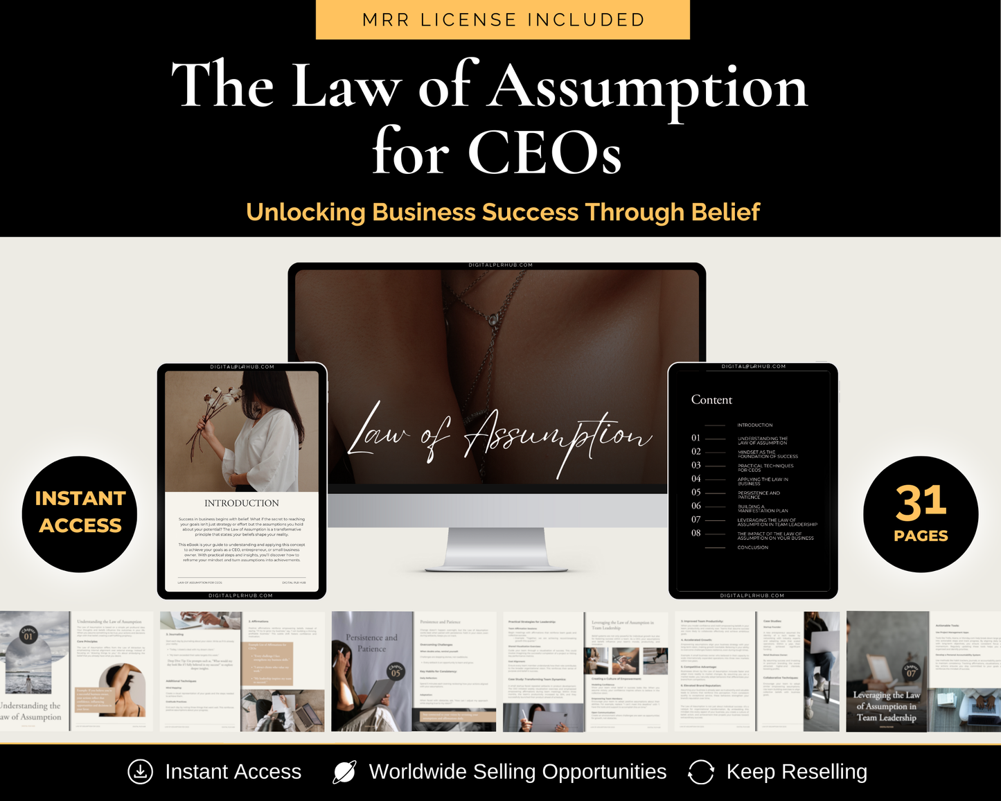 The Law of Assumption  for CEOs