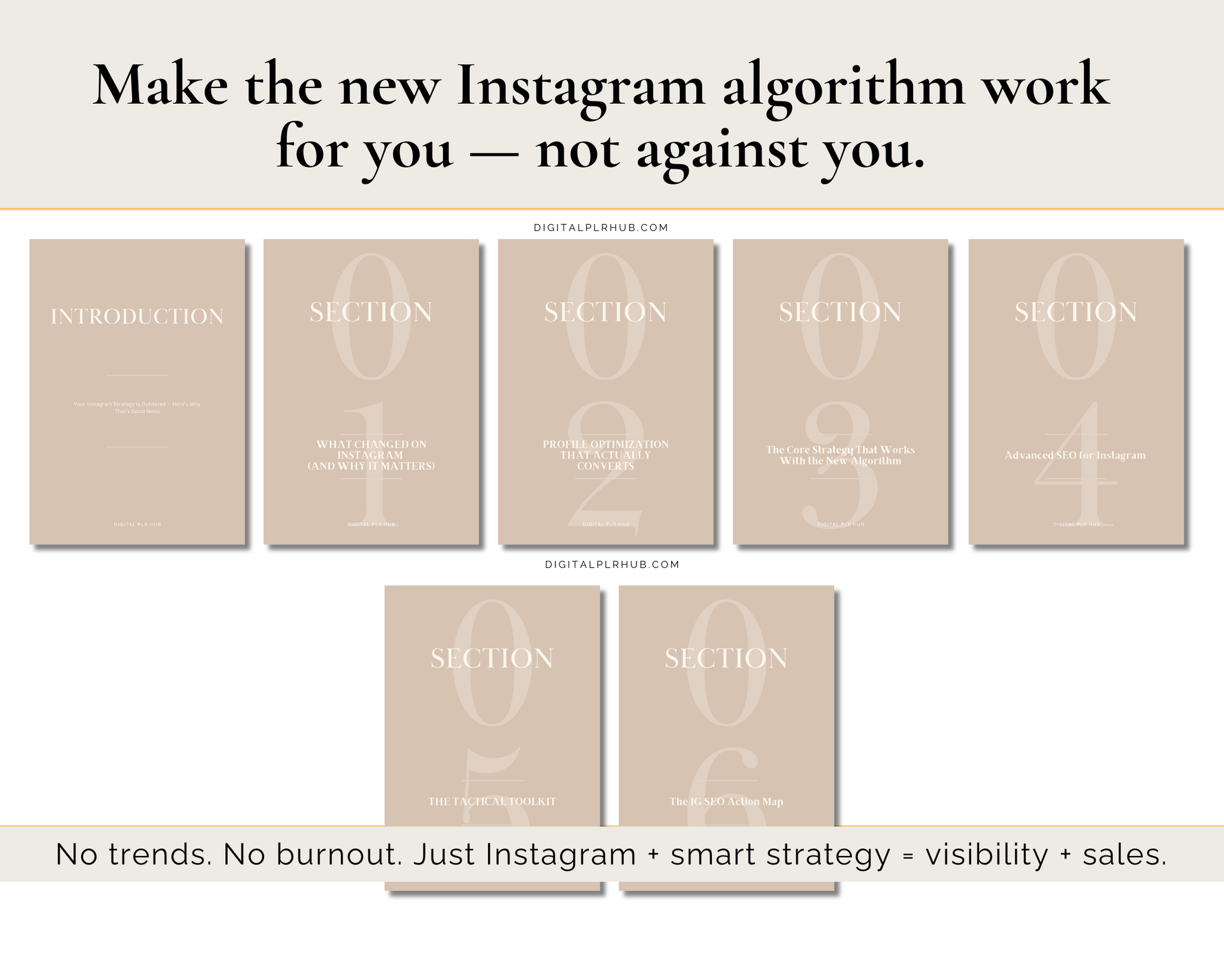 Table of contents from the Instagram 2025 strategy playbook. Covers Reels, SEO content planning, profile optimization, and algorithm insights for creators.